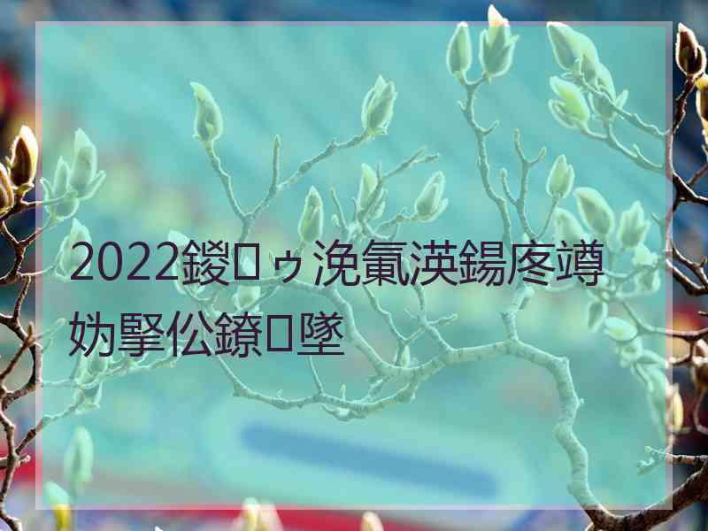 2022鍐ゥ浼氭渶鍚庝竴妫掔伀鐐墜