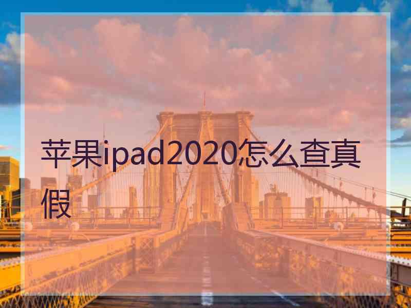 苹果ipad2020怎么查真假