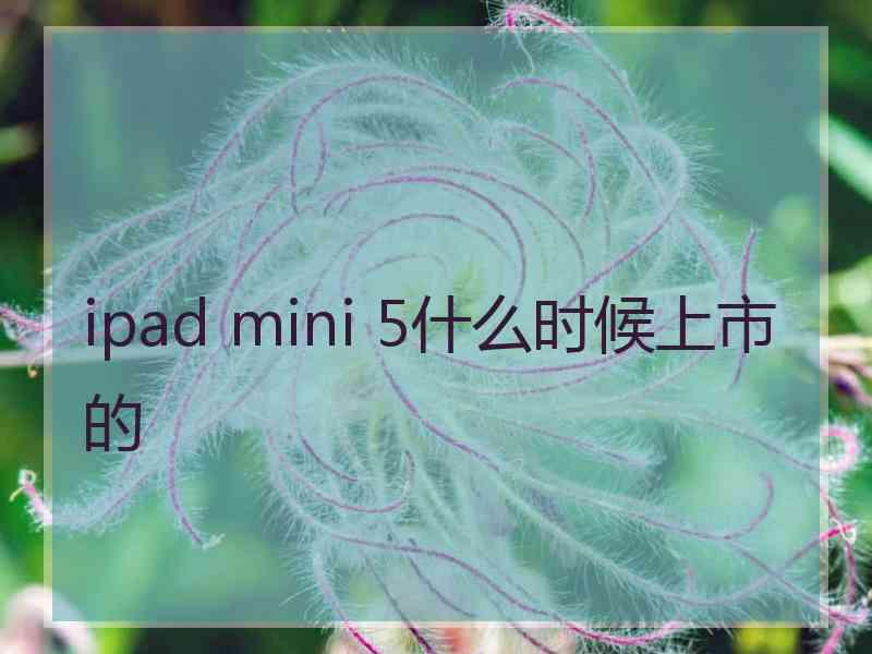 ipad mini 5什么时候上市的