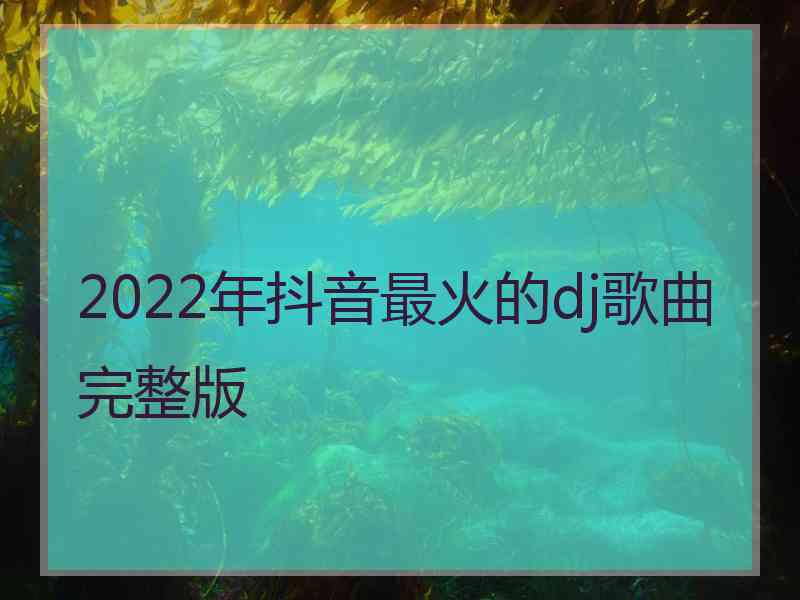 2022年抖音最火的dj歌曲完整版