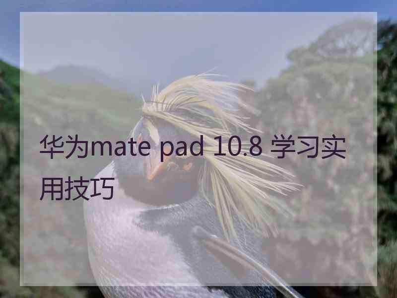 华为mate pad 10.8 学习实用技巧