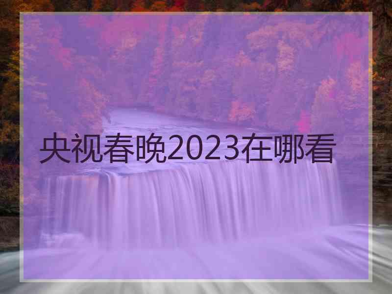 央视春晚2023在哪看