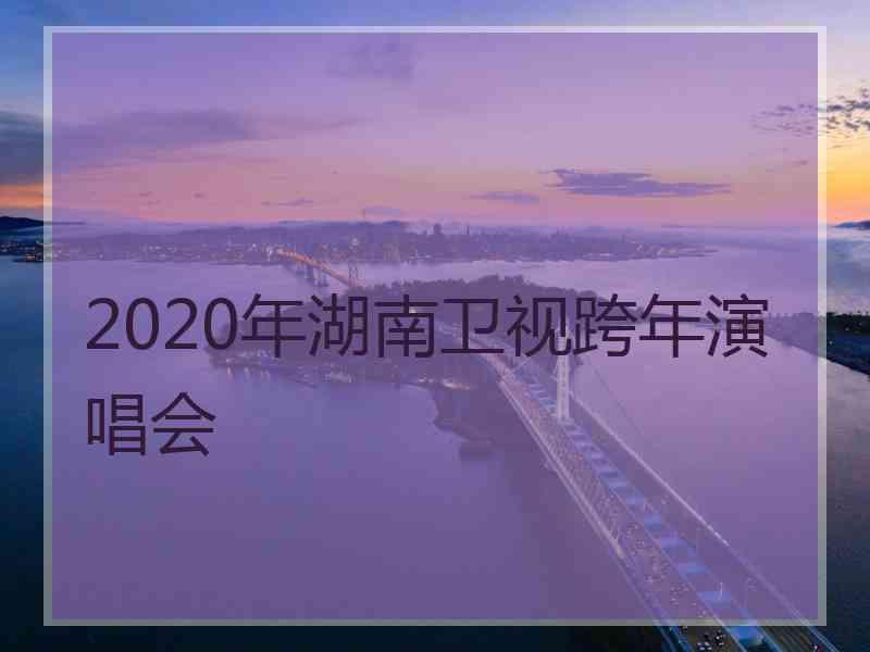 2020年湖南卫视跨年演唱会