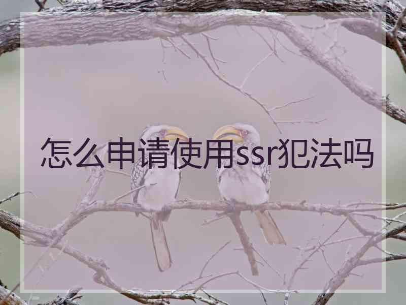 怎么申请使用ssr犯法吗