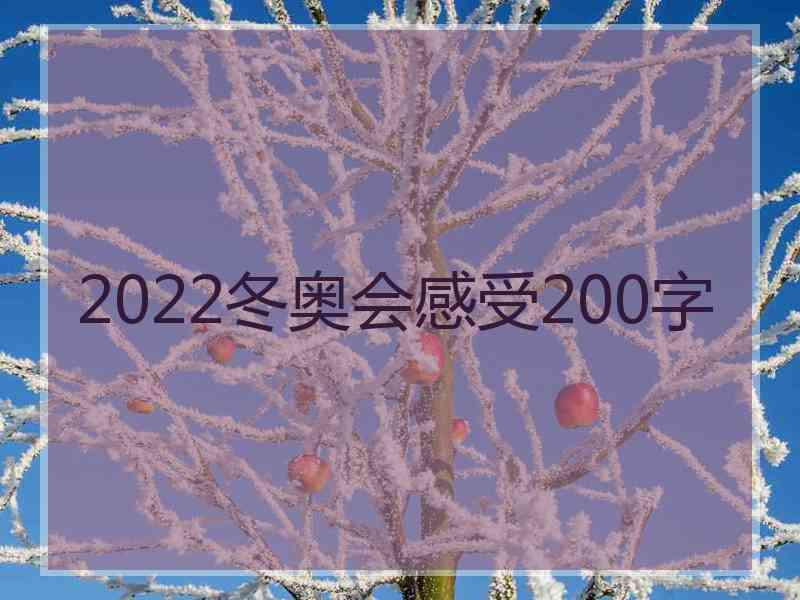 2022冬奥会感受200字