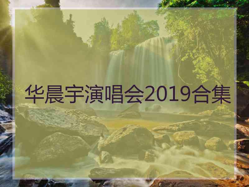 华晨宇演唱会2019合集