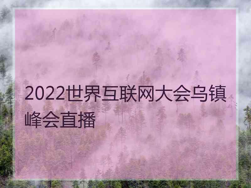 2022世界互联网大会乌镇峰会直播