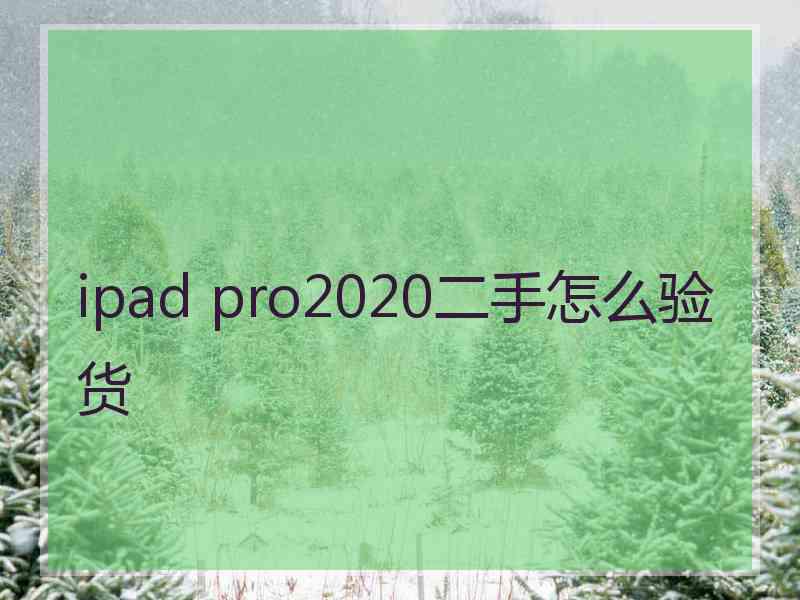 ipad pro2020二手怎么验货