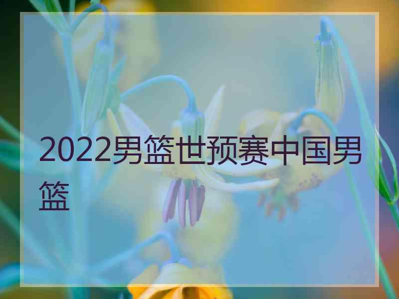 2022男篮世预赛中国男篮