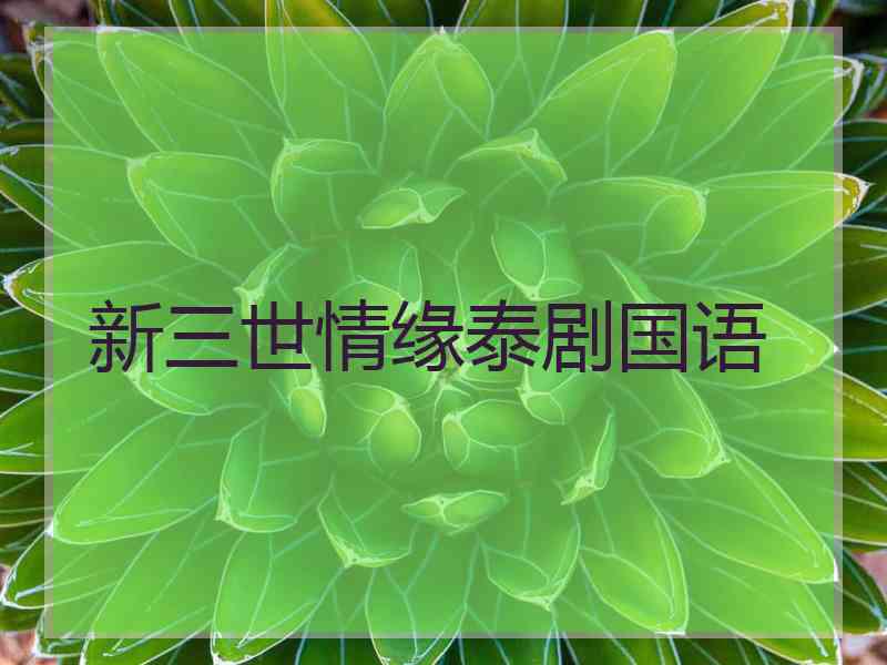 新三世情缘泰剧国语