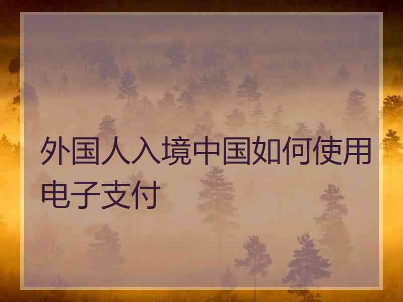 外国人入境中国如何使用电子支付