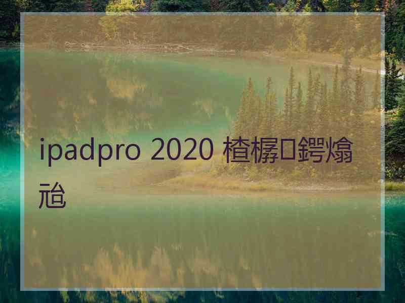 ipadpro 2020 楂樼鍔熻兘