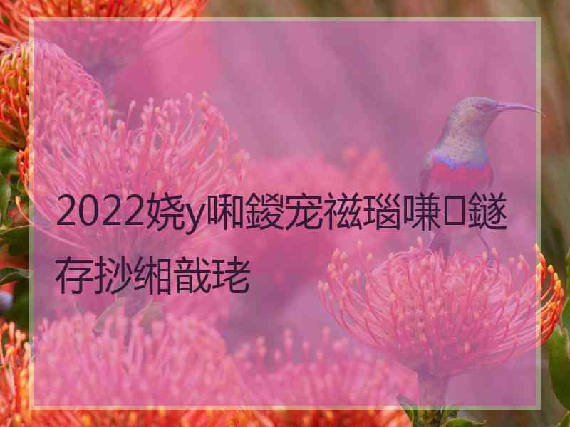 2022娆у啝鍐宠禌瑙嗛鐩存挱缃戠珯