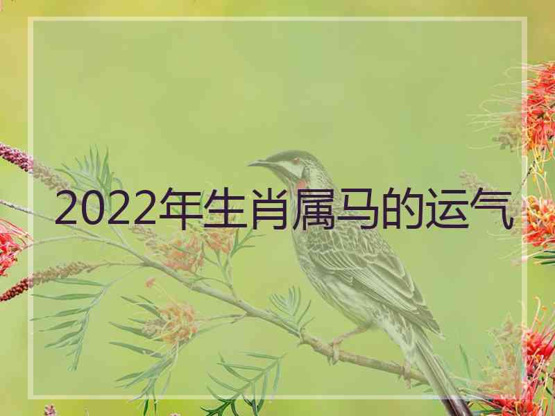 2022年生肖属马的运气