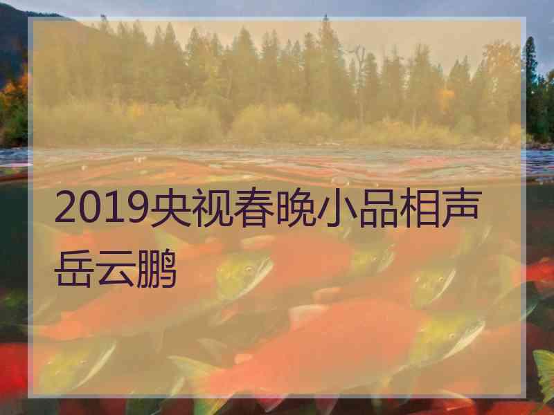 2019央视春晚小品相声岳云鹏