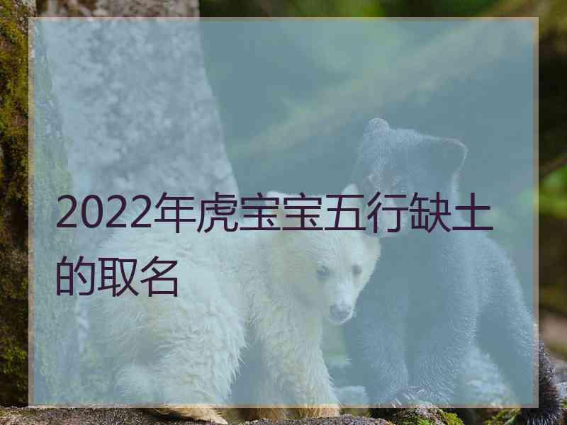 2022年虎宝宝五行缺土的取名