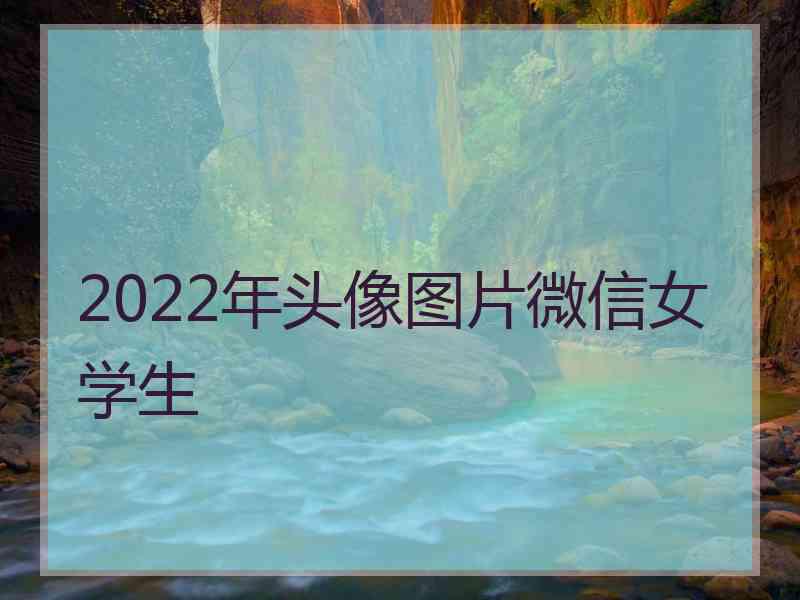 2022年头像图片微信女学生