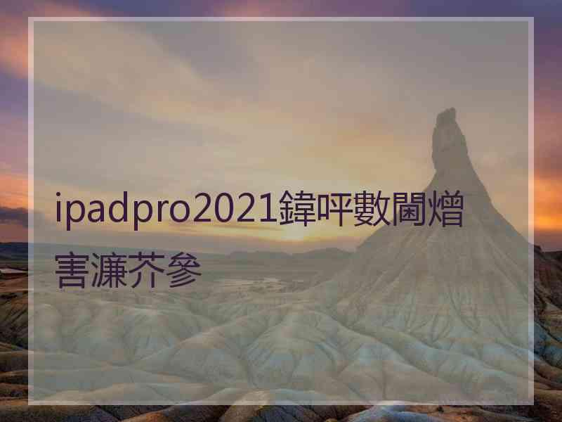 ipadpro2021鍏呯數閫熷害濂芥參