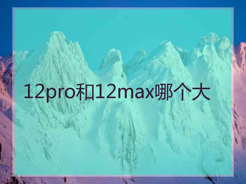 12pro和12max哪个大