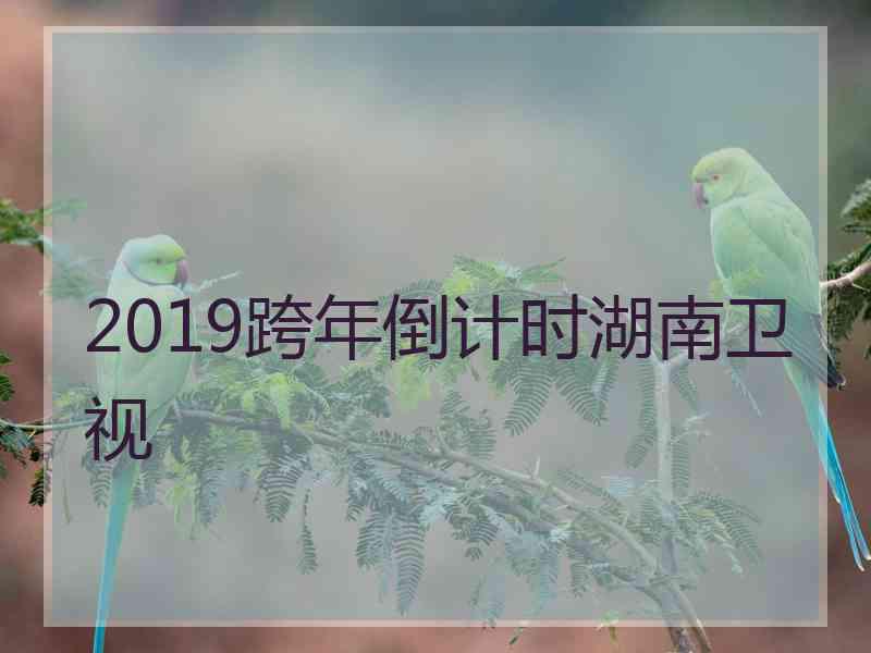 2019跨年倒计时湖南卫视