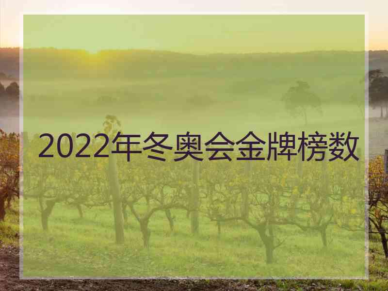 2022年冬奥会金牌榜数