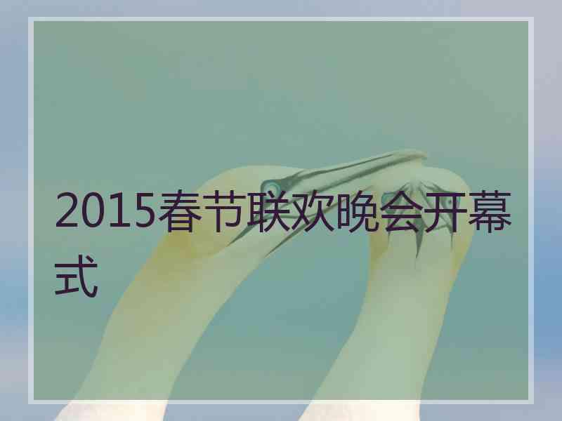 2015春节联欢晚会开幕式