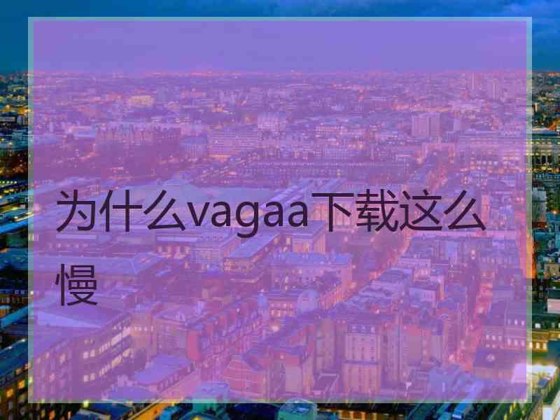 为什么vagaa下载这么慢