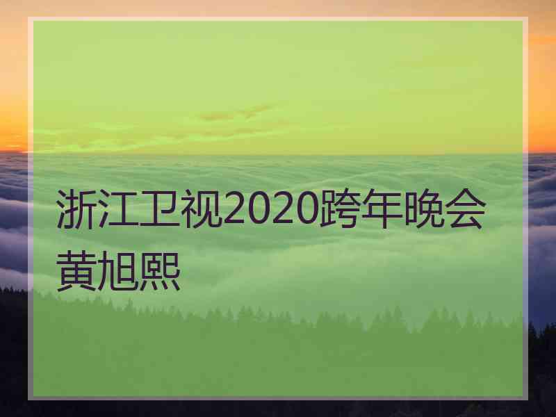 浙江卫视2020跨年晚会黄旭熙