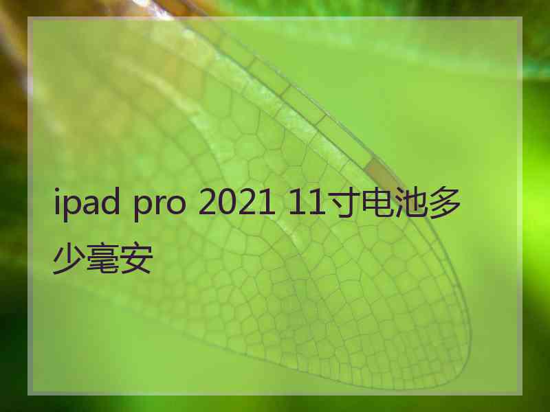 ipad pro 2021 11寸电池多少毫安