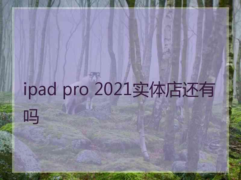 ipad pro 2021实体店还有吗