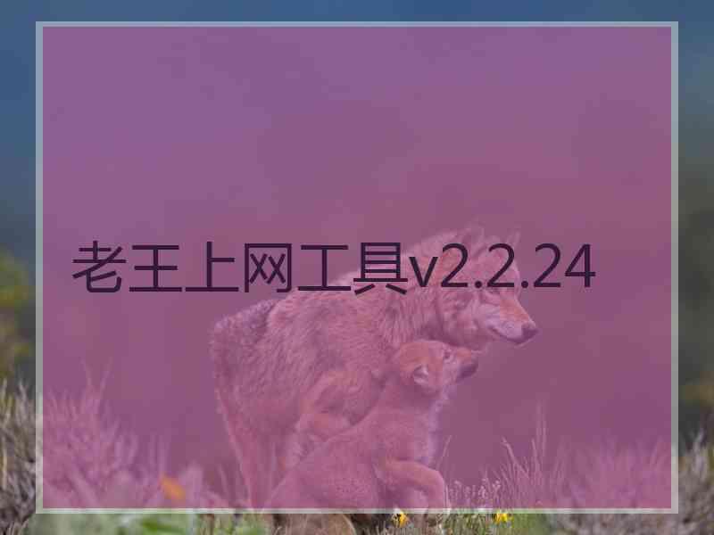 老王上网工具v2.2.24