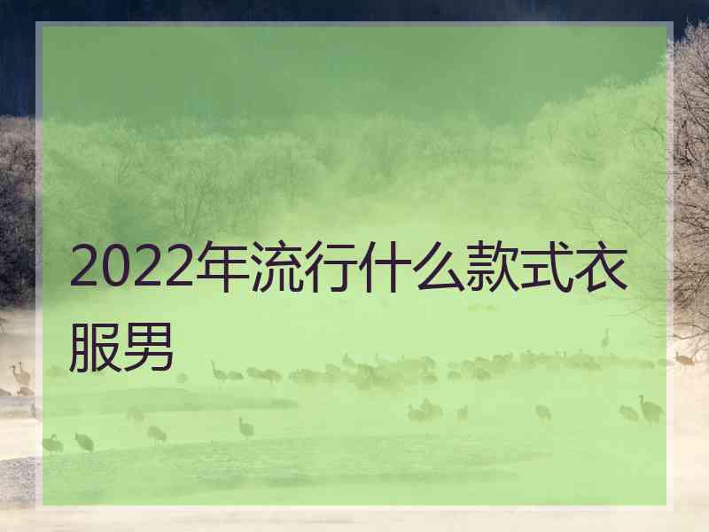 2022年流行什么款式衣服男