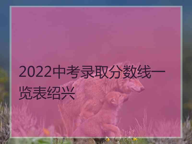 2022中考录取分数线一览表绍兴