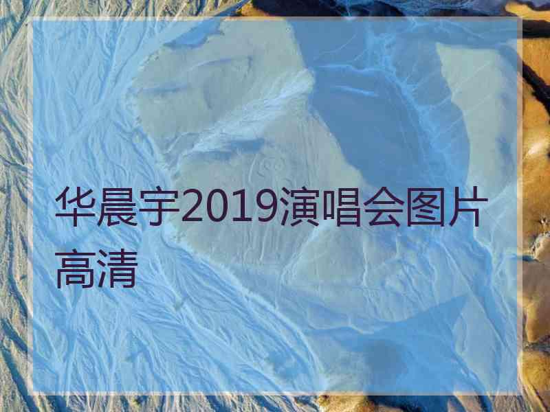 华晨宇2019演唱会图片高清