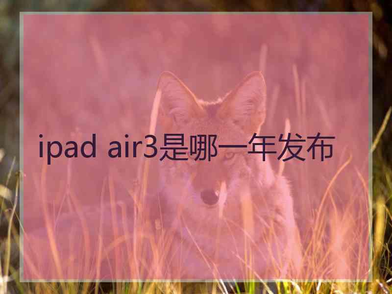 ipad air3是哪一年发布