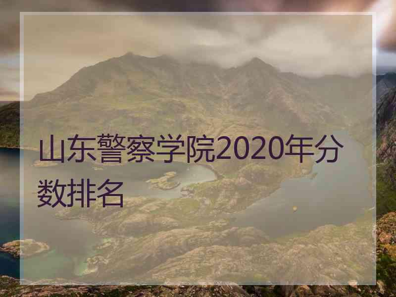 山东警察学院2020年分数排名