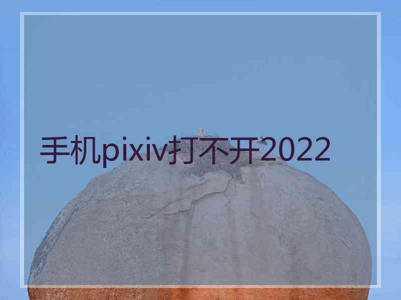 手机pixiv打不开2022