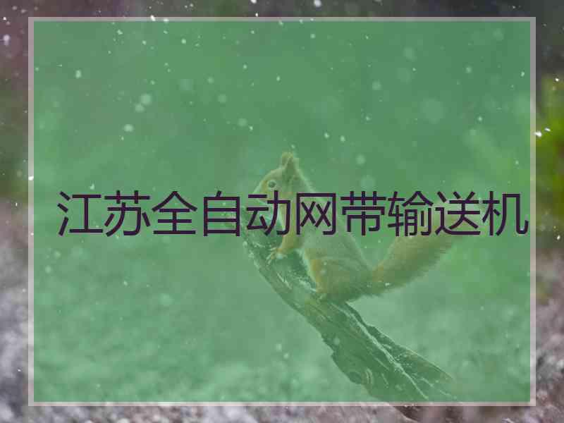 江苏全自动网带输送机