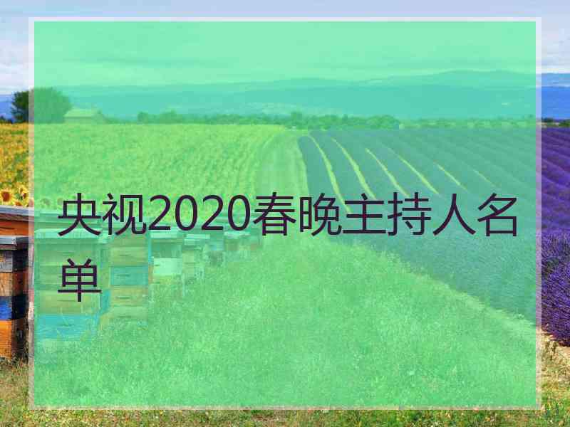 央视2020春晚主持人名单