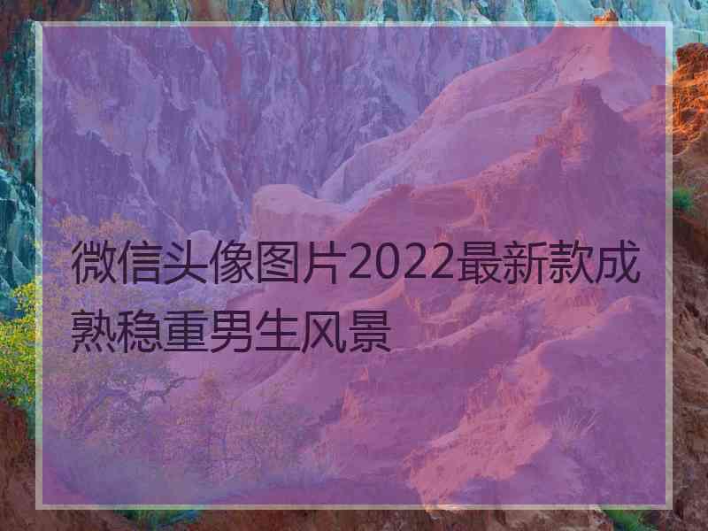 微信头像图片2022最新款成熟稳重男生风景