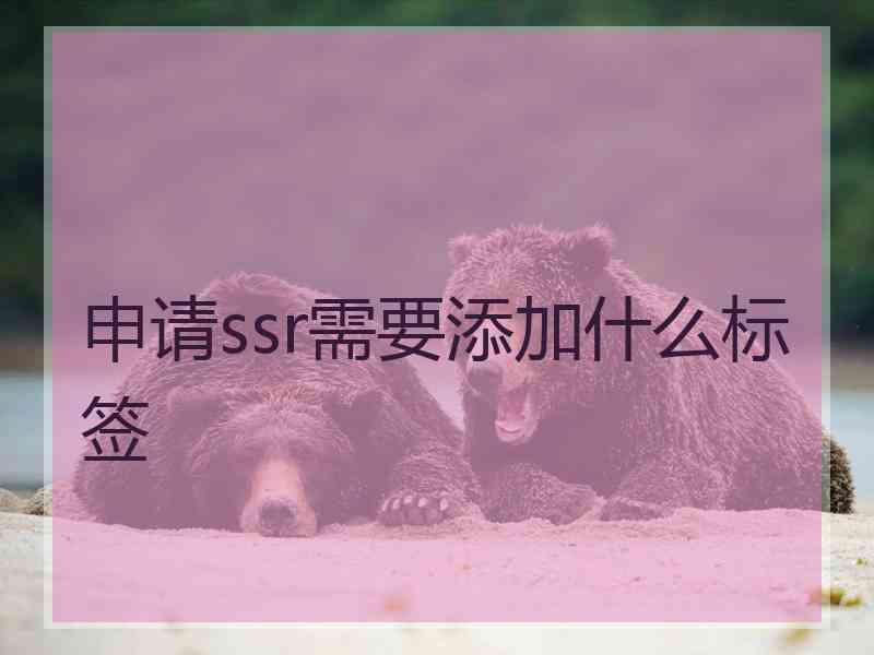 申请ssr需要添加什么标签