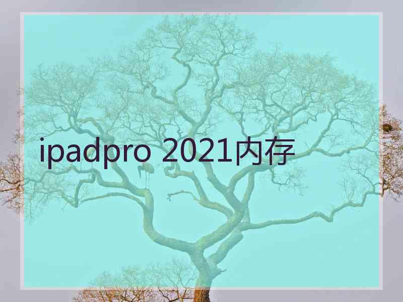 ipadpro 2021内存