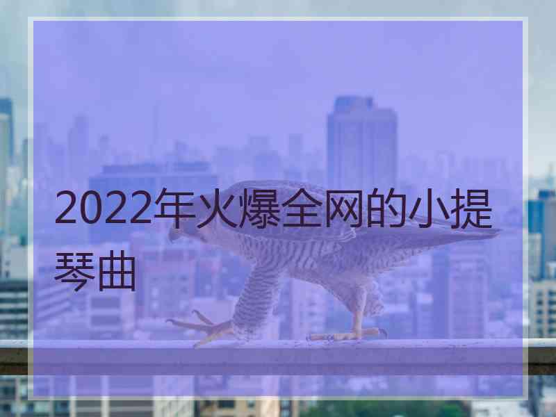 2022年火爆全网的小提琴曲