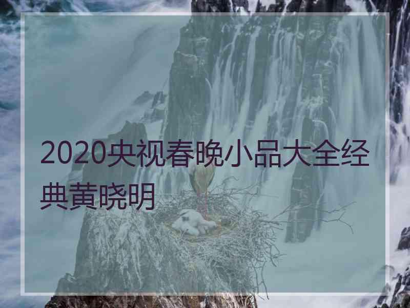 2020央视春晚小品大全经典黄晓明