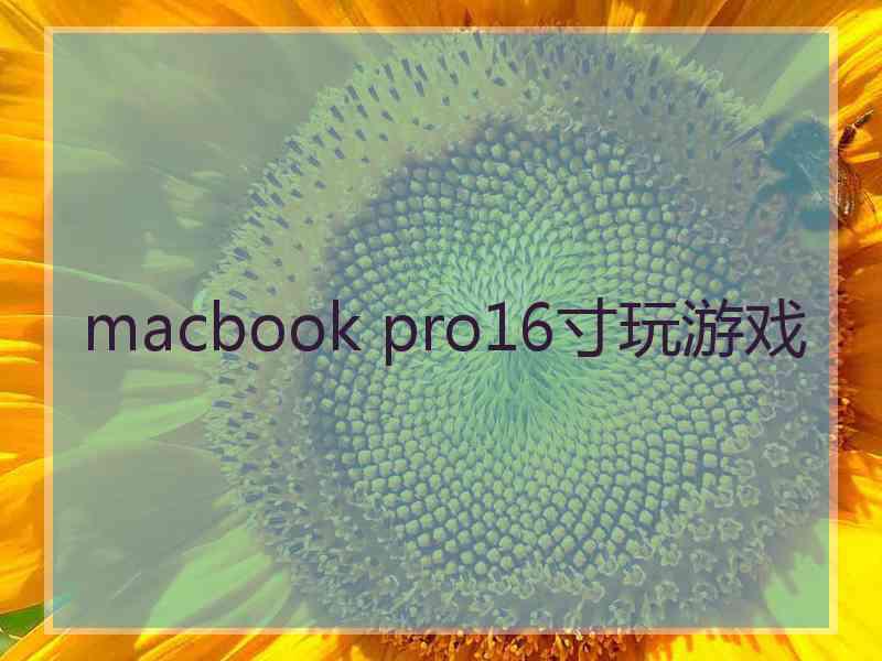 macbook pro16寸玩游戏