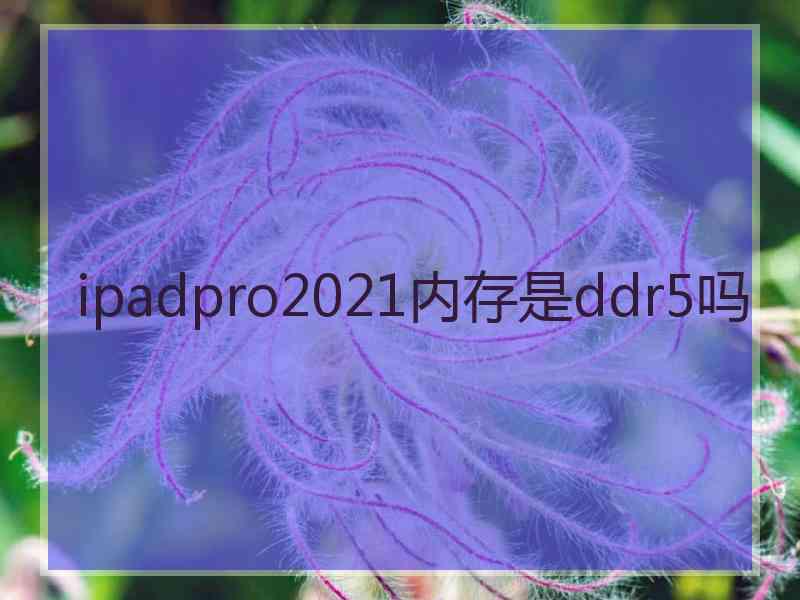 ipadpro2021内存是ddr5吗