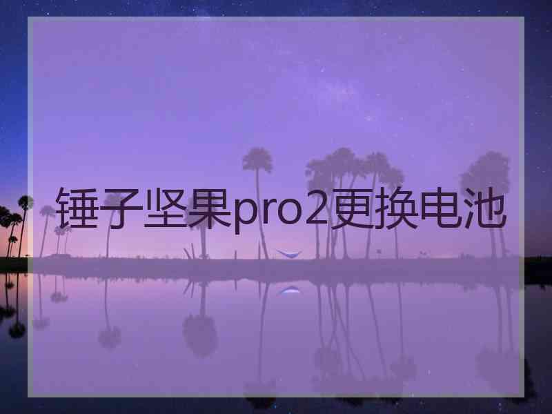 锤子坚果pro2更换电池