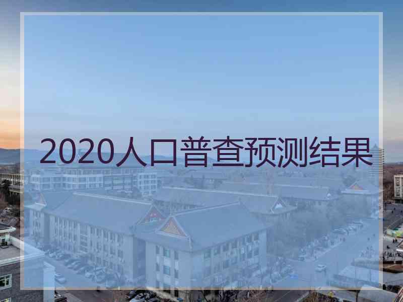 2020人口普查预测结果