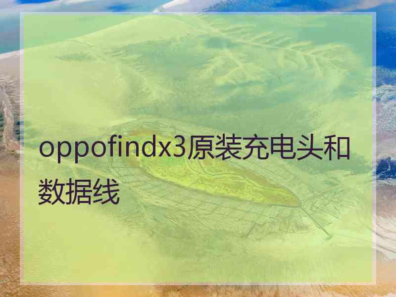 oppofindx3原装充电头和数据线