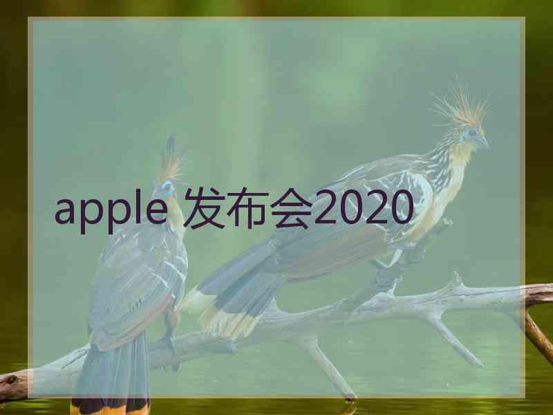 apple 发布会2020